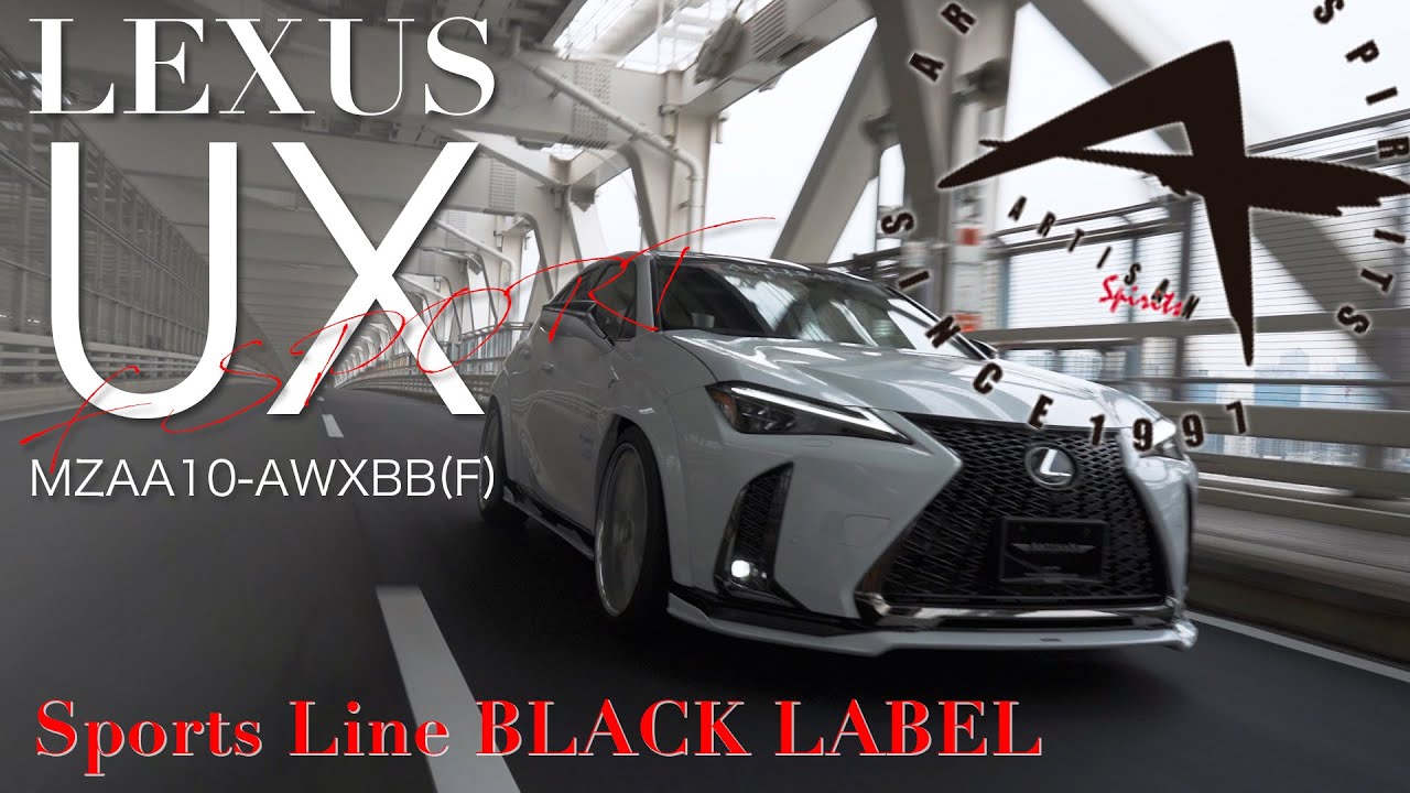 Artisan Spirits Sports Line Black Label Spoiler Lip Kit (FRP), Body Kits  for Lexus UX 1