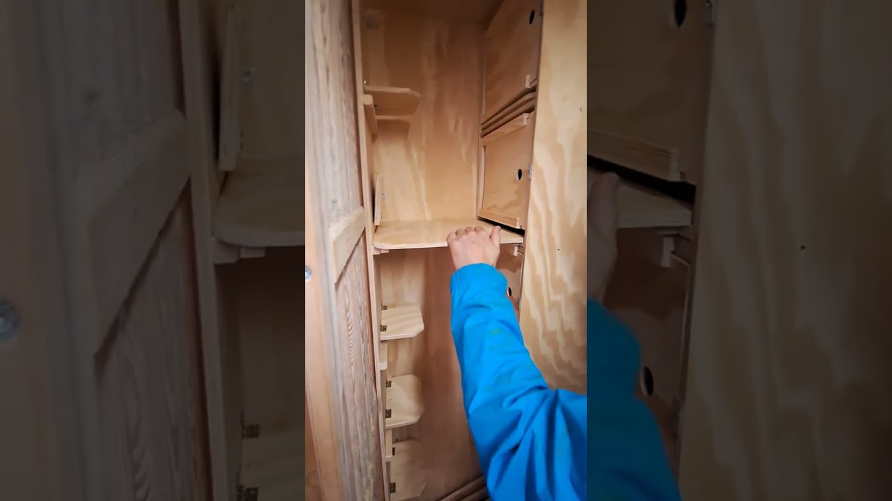 Cele klasyczne wdowienstwo Samic