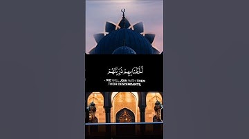 #القرآن_الكريم #اكسبلور #المصحف #القرآن #دويتو #yasseraldossary #duet #لايك #راحة_نفسية #تجويد