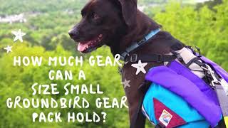 How Much Gear Can a Size Small Groundbird Gear Pack Hold? by Pawsitively Intrepid 271 views 3 years ago 1 minute, 20 seconds