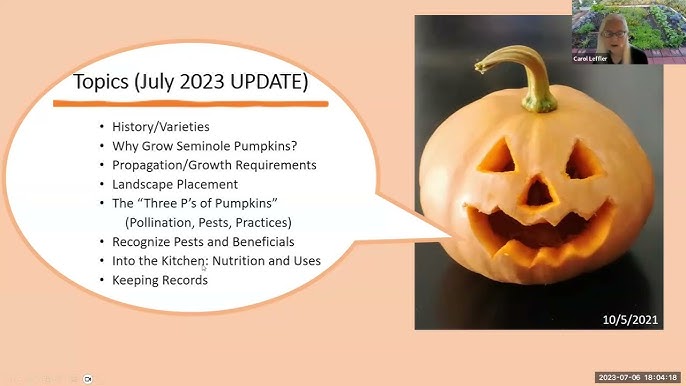 Best Time to Plant Pumkins in Florida: Ultimate Guide for Success 3 Best Time to Plant Pumkins in Florida: Ultimate Guide for Success