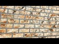 COMO HACER PARED SIMULACIÓN LADRILLO /  faux brick wall
