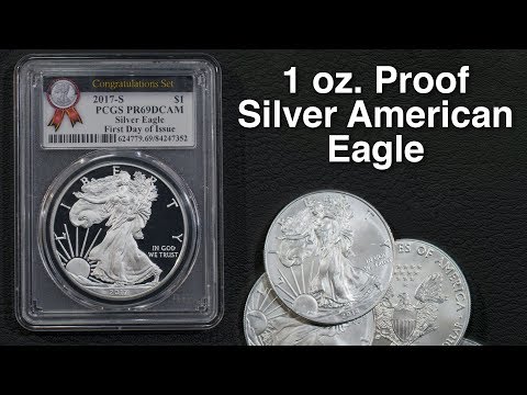 1 Oz. Proof Silver American Eagle