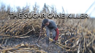 Episode 8: The Sugar Cane Killer