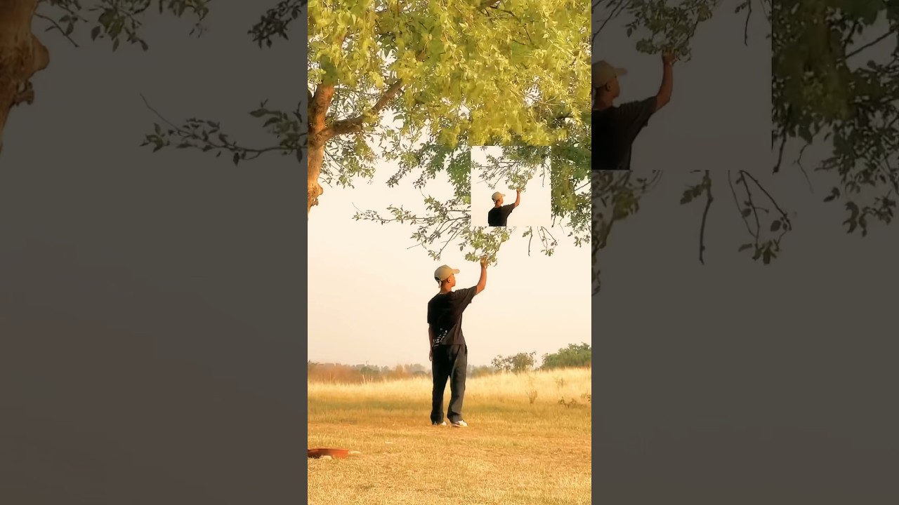 Came across a fallen tree 🌳 