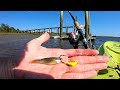 Its Crazy How Well This Works - Low Country Dock Fishing