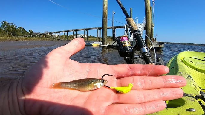 COBIA FISHING FROM A KAYAK! 