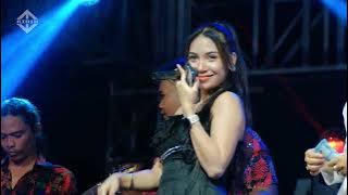 BUKU HARIAN - EVI TANIA // ALL NEW METRO PILANGSARI SAYUNG DEMAK NOVA AUDIO // AIRIN DIGIMEDIA