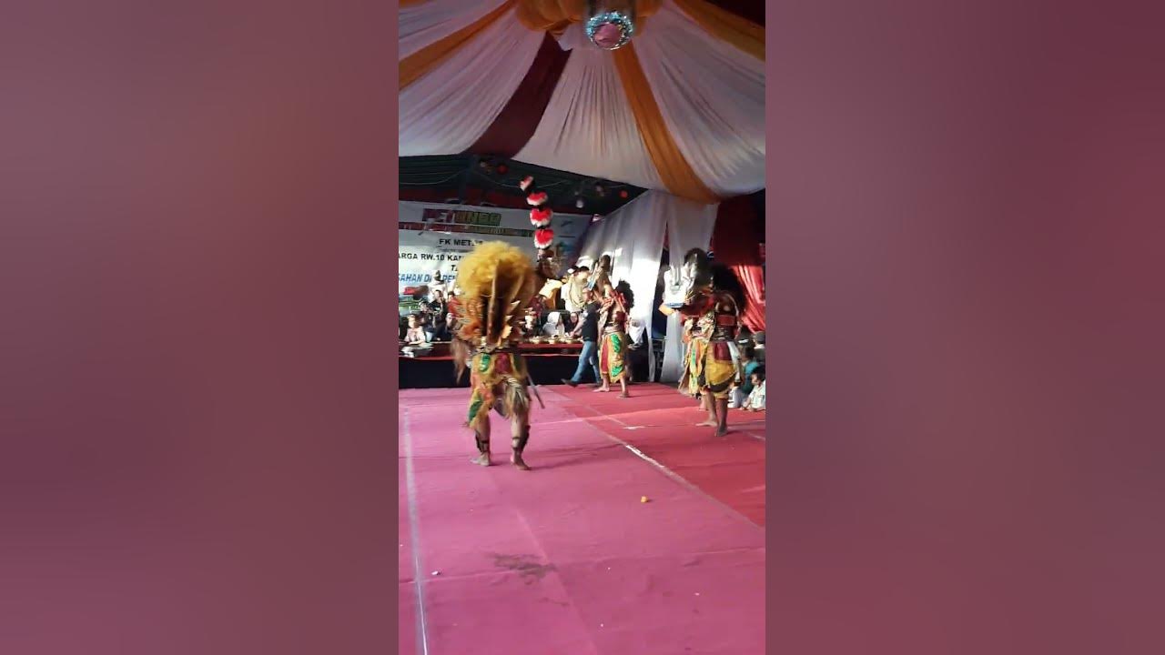 Perang si rambut krebo