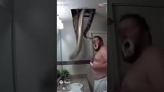 CCTV Captures Huge Python Crashing Through Bathroom Ceiling While Man Brushes Teeth!#cctvfootage