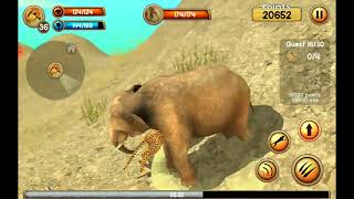 Let's play wild cheetah simulator 3d ep-5, halfway through the quests complete screenshot 5