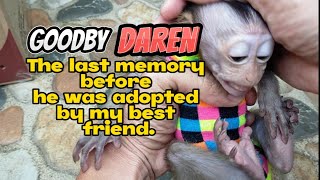 the last memory before he was adopted by my best Friend , Lovely Fauna Youtube Channel