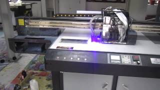 MVI 8287