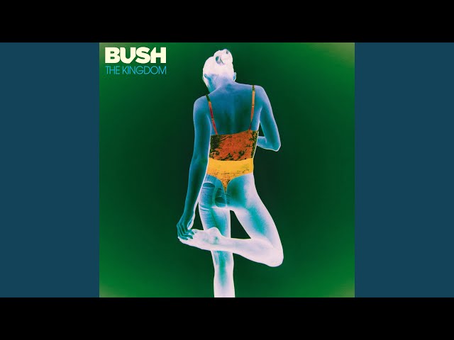 Bush - Crossroads