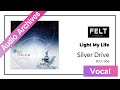 FELT 03 Light My Life FELT 006 Silver Drive Audio Archives FELT 03 Light My Life FELT 006 Silver Drive Audio Archives