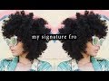 HOW TO: My Signature FRO || Natural Hair Routine