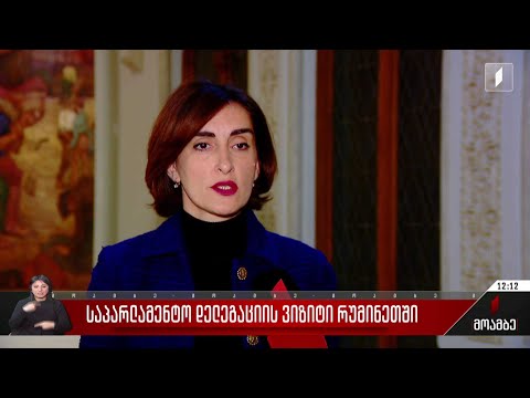 საპარლამენტო დელეგაციის ვიზიტი რუმინეთში