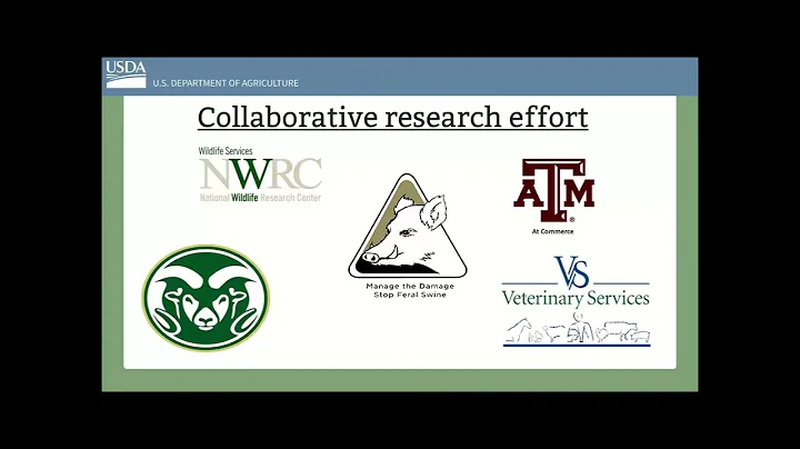 Wild Pig and Foreign Animal Disease Outbreaks: Understanding Spread, Mitigation, and Economic Impact