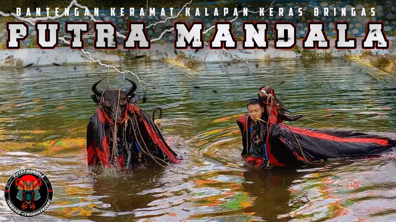 Kalapan keramat PUTRA MANDALA hingga di mandikan || Live at Sengkaling - Malang