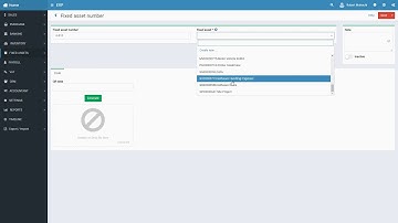 ERP Fixed asset number