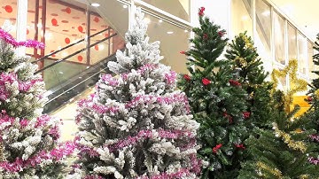 Prepare for Christmas in Early December (2020)