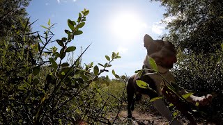 Sneaking My Dog in a Private Nature Park While I&#39;m Stuck in the USA