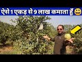 दुनिया के सबसे बड़े अमरुद से करोड़ों कमाए|Guava farming in India|Amrud ki kheti