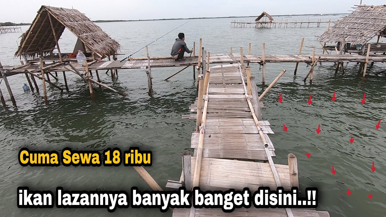 Всего за 18 тысяч здесь можно поймать вкуснейшую рыбу.