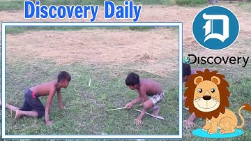 Wow! Brave Children Catch Big Snake With Bare Hand - How to Catch Big Snake in Cambodia