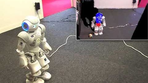 Localization and Navigation of a NAO robot