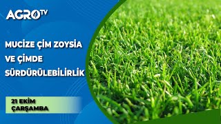 Mucize Çim Zoysia / Bitki Uzmanı - Agro TV