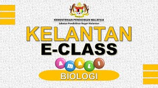 BIOLOGI TINGKATAN 4   Mengkaji Proses Fementasi Yis