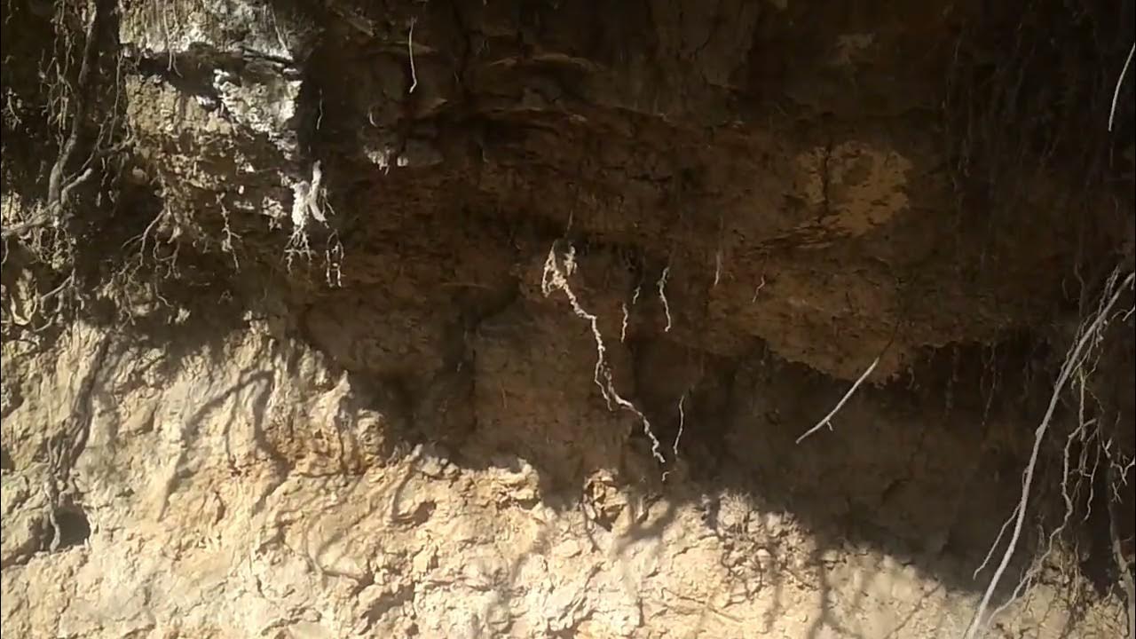 Глина морская желтая,серая - YouTube