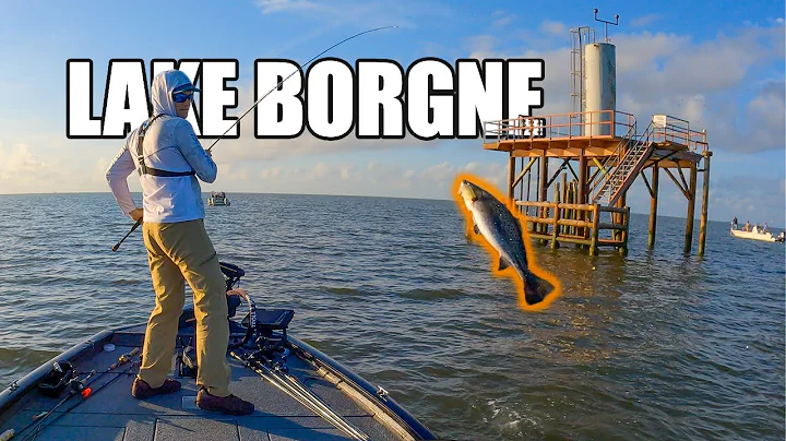 Catching Summer Speckled Trout At Lake Borgne Rigs