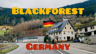 A trip through the Black Forest. Germany