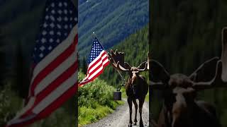 Happy 4th of July from Alaska