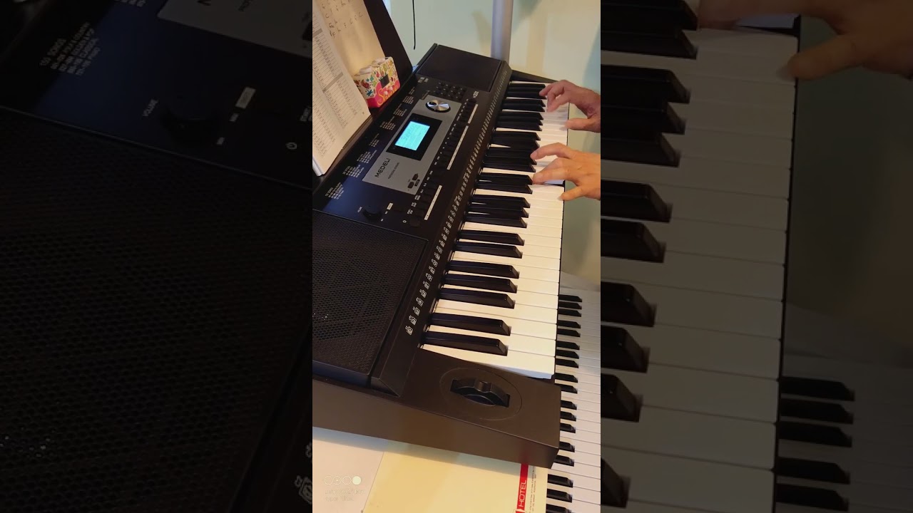 Music Box Dancer by Frank Mills - Keyboard Cover on the Medeli M331 (