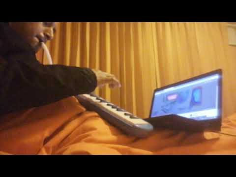 La flor - Nonpalidece (cover melódica)