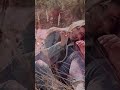 Любовь как сбой Матрицы: что на самом деле с тобой происходит: послание с Плеяд. ЧАСТЬ 5