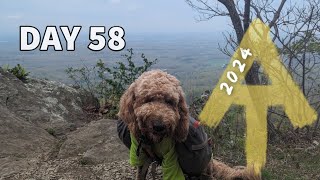 Spring is here, but 12 hours of hiking sucks! - Day 58 - Appalachian Trail