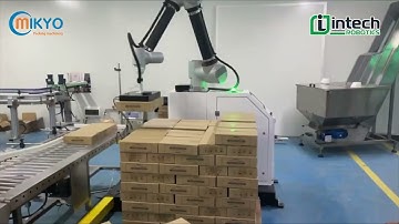 Robot bốc xếp Pallet  Đà Nẵng - Robot cộng tác Đà Nẵng