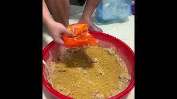 Bài mồi tổng hợp câu được tất cả cả loại cá #cauca  #fishing  #moicauquynhmai 