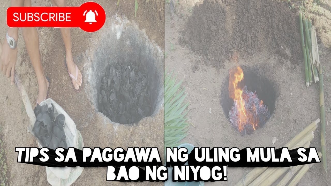 Tips sa paggawa ng uling gamit ang bao ng niyog