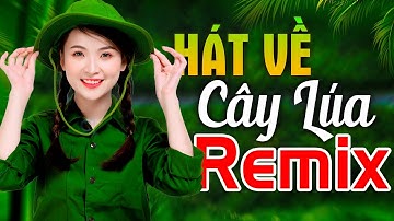 HÁT VỀ CÂY LÚA HÔM NAY REMIX - LK Nhạc Đỏ Cách Mạng Kháng Chiến Remix Bass Căng Bốc Lửa