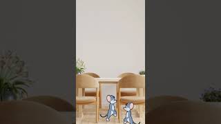 video para #gatos - #ratones
