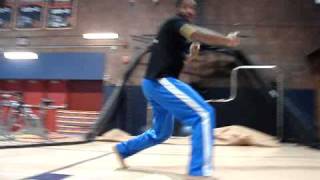 Coelho Raizes Do Brasil Capoeira 2008