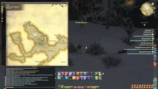 FFXIV:ARR - Dragonfly location