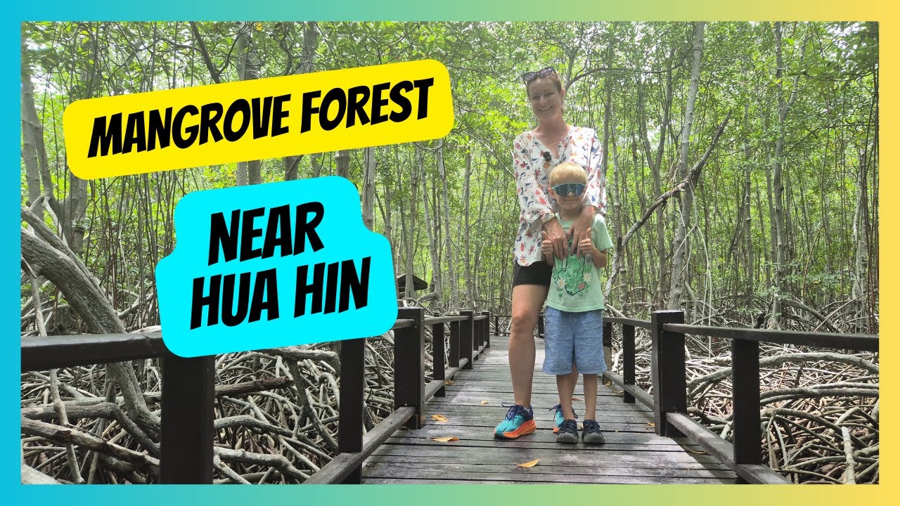 Pranburi Mangrove Forest 🌿 Family Travel from Hua Hin | Boardwalk, Boat Ride & Wildlife