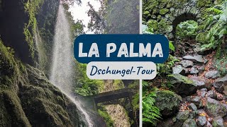 La Palma - Die schönsten Dschungel Wanderungen | Doku | Kanaren