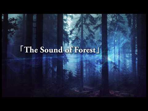 【朗読】「The Sound of Forest」【水色文庫】